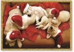 Santa puppies sleeping