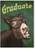 Donkey with glasses
