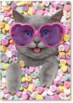 Cat in Heart candy w/heart glasses