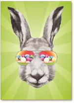 Rabbit with sunglasses.