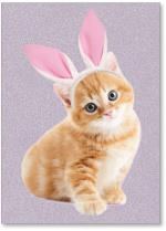 Kitten with bunny ears.