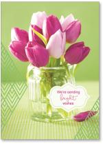 photo purple tulips with green background