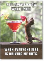 squirrel with cocktail