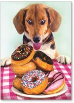 Dog with a plate of donuts