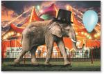 Elephant with top hat