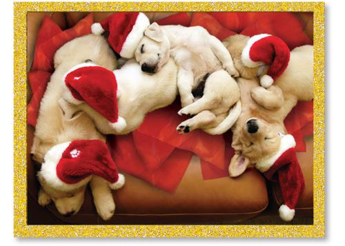 Sleeping Dogs in Santa Hats