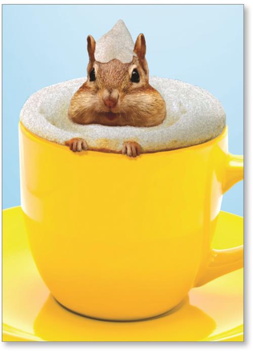 chipmunk in mug with foam
