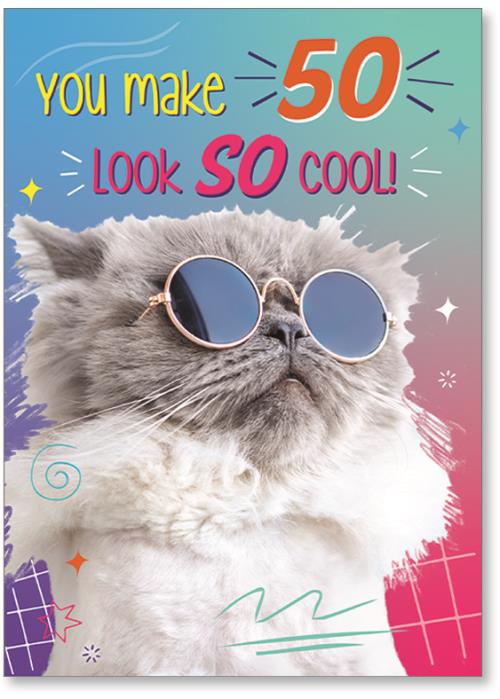 Photo of cool cat with sunglasses