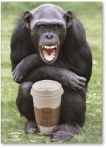 Gorilla with coffee