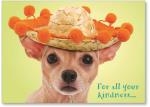 Chihuahua In Hat