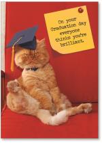 Cat with graduation cap