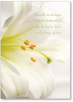 Renewed by God's Grace flower