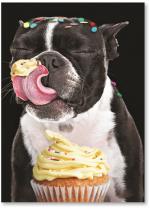 dog licking cupcake