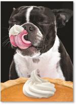 Dog licking whip cream  pumpkin pie.