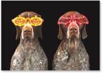 Dogs with holiday glasses on.