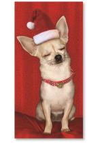 Chihuahua Woof w/ santa hat