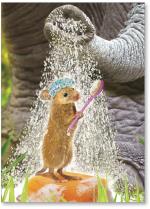Elephant showering a mouse