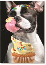 Dog licking cupcake with confetti