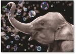 Elephant with bubbles