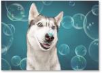 Dog with bubbles