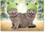 Two cats in frog hats