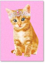 Princess Kitten