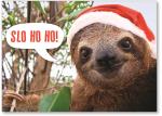 Sloth with a Santa hat
