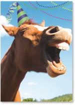 Horse laughing with party hat
