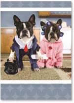 Dogs dressed like married couple