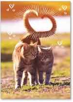 Cats with heart tails