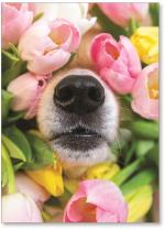 Dog nose in flowers