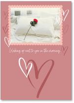 Red rose on pillow