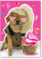Dog with blonde wig and sunglasses