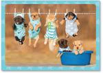 Puppies and cat on clothesline